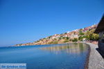 Foto Lesbos Ägäische Inseln GriechenlandWeb - Foto GriechenlandWeb.de