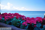 Foto Lesbos Ägäische Inseln GriechenlandWeb - Foto GriechenlandWeb.de