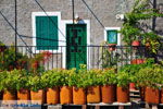 GriechenlandWeb.de Molyvos Lesbos - Foto GriechenlandWeb.de