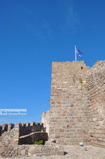 GriechenlandWeb.de Molyvos Lesbos | Griechenland | GriechenlandWeb.de 111 - Foto GriechenlandWeb.de