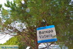 GriechenlandWeb.de Vatera Lesbos | Griechenland | GriechenlandWeb.de 1 - Foto GriechenlandWeb.de