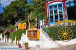 GriechenlandWeb.de Agiasos (Agiassos) | Lesbos Griechenland | GriechenlandWeb.de 8 - Foto GriechenlandWeb.de