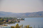 Pigadakia bij Kato Tritos | Lesbos | Griekse Gids 1 - Foto van De Griekse Gids