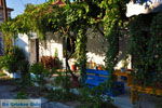Foto Lesbos Ägäische Inseln GriechenlandWeb - Foto GriechenlandWeb.de