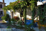 Foto Lesbos Ägäische Inseln GriechenlandWeb - Foto GriechenlandWeb.de