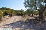 GriechenlandWeb Bij Kremasti-brug | Lesbos Griechenland | GriechenlandWeb.de 2 - Foto GriechenlandWeb.de