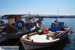 Foto Lesbos Ägäische Inseln GriechenlandWeb - Foto GriechenlandWeb.de