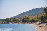 Mistegna - Skala Mistegna | Lesbos | GriechenlandWeb.de 6 - Foto GriechenlandWeb.de
