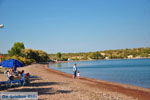 Tsonia | Lesbos | De Griekse Gids 1 - Foto van De Griekse Gids