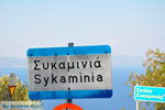 GriechenlandWeb.de Sikaminia Lesbos - Foto GriechenlandWeb.de
