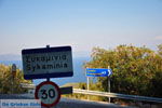 GriechenlandWeb.de Sikaminia Lesbos - Foto GriechenlandWeb.de