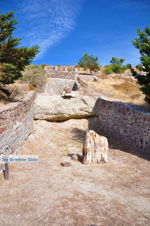 Versteende woud bij Sigri | Lesbos Griekenland | Foto 22 - Foto van De Griekse Gids