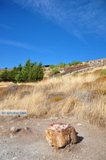 Versteende woud bij Sigri | Lesbos Griekenland | Foto 24 - Foto van De Griekse Gids