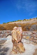 Versteende woud bij Sigri | Lesbos Griekenland | Foto 42 - Foto van De Griekse Gids