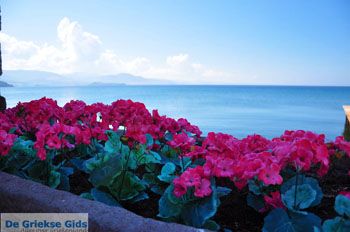 Molyvos Lesbos | Griekenland 14 - Foto van https://www.grieksegids.nl/fotos/lesbos/normaal/lesbos-griekenland-014.jpg