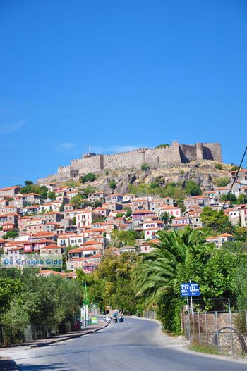 Molyvos Lesbos | Griekenland 20 - Foto van https://www.grieksegids.nl/fotos/lesbos/normaal/lesbos-griekenland-020.jpg