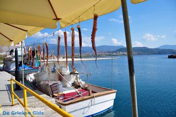 Molyvos Lesbos | Griekenland 56 - Foto van https://www.grieksegids.nl/fotos/lesbos/normaal/lesbos-griekenland-056.jpg