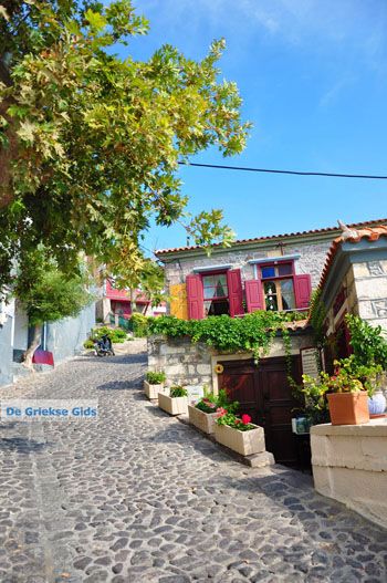 Molyvos Lesbos | Griekenland 69 - Foto van https://www.grieksegids.nl/fotos/lesbos/normaal/lesbos-griekenland-069.jpg