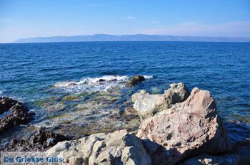 Eftalou Lesbos | Griekenland 7 - Foto van https://www.grieksegids.nl/fotos/lesbos/normaal/lesbos-griekenland-125.jpg