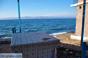 Eftalou Lesbos | Griekenland 17 - Foto van https://www.grieksegids.nl/fotos/lesbos/normaal/lesbos-griekenland-135.jpg