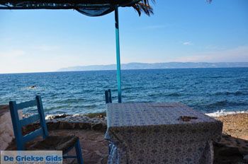 Eftalou Lesbos | Griekenland 18 - Foto van https://www.grieksegids.nl/fotos/lesbos/normaal/lesbos-griekenland-136.jpg