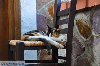 Molyvos Lesbos | Griekenland 130 - Foto van https://www.grieksegids.nl/fotos/lesbos/normaal/lesbos-griekenland-175.jpg