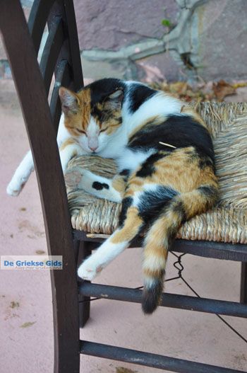 Molyvos Lesbos | Griekenland 131 - Foto van https://www.grieksegids.nl/fotos/lesbos/normaal/lesbos-griekenland-176.jpg