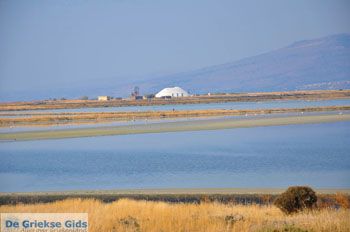 Baai Kalloni Lesbos | Griekenland 11 - Foto van https://www.grieksegids.nl/fotos/lesbos/normaal/lesbos-griekenland-202.jpg