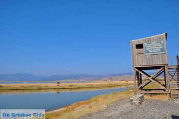 Baai Kalloni Lesbos | Griekenland 13 - Foto van https://www.grieksegids.nl/fotos/lesbos/normaal/lesbos-griekenland-204.jpg