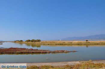 Baai Kalloni Lesbos | Griekenland 14 - Foto van https://www.grieksegids.nl/fotos/lesbos/normaal/lesbos-griekenland-205.jpg