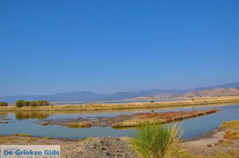 Baai Kalloni Lesbos | Griekenland 17 - Foto van https://www.grieksegids.nl/fotos/lesbos/normaal/lesbos-griekenland-208.jpg