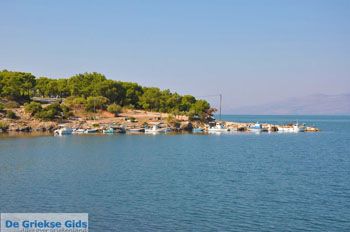 Baai Kalloni Lesbos | Griekenland 18 - Foto van https://www.grieksegids.nl/fotos/lesbos/normaal/lesbos-griekenland-209.jpg