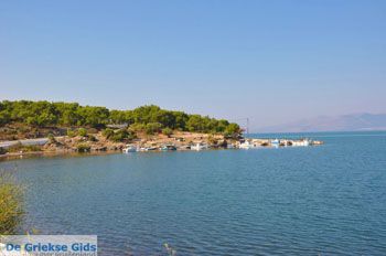 Bij Pyrra en Achladeri | Lesbos Griekenland 1 - Foto van https://www.grieksegids.nl/fotos/lesbos/normaal/lesbos-griekenland-210.jpg