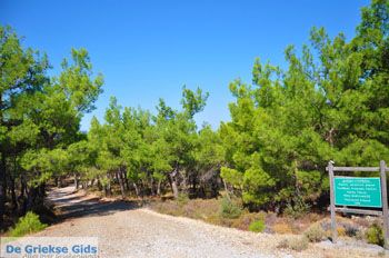 Bij watervallen Pesas | Lesbos Griekenland 1 - Foto van https://www.grieksegids.nl/fotos/lesbos/normaal/lesbos-griekenland-216.jpg