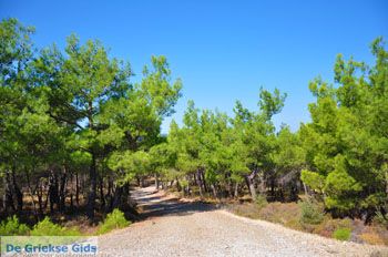 Bij watervallen Pesas | Lesbos Griekenland 2 - Foto van https://www.grieksegids.nl/fotos/lesbos/normaal/lesbos-griekenland-217.jpg
