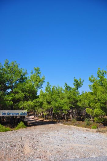 Bij watervallen Pesas | Lesbos Griekenland 3 - Foto van https://www.grieksegids.nl/fotos/lesbos/normaal/lesbos-griekenland-218.jpg