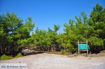Bij watervallen Pesas | Lesbos Griekenland 4 - Foto van https://www.grieksegids.nl/fotos/lesbos/normaal/lesbos-griekenland-219.jpg