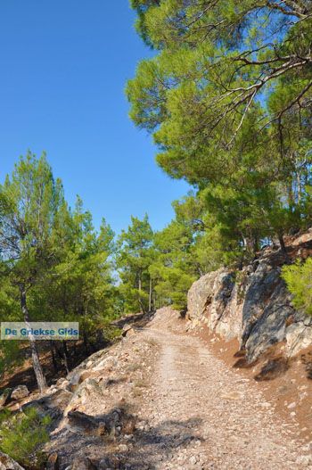Bij watervallen Pesas | Lesbos Griekenland 8 - Foto van https://www.grieksegids.nl/fotos/lesbos/normaal/lesbos-griekenland-223.jpg