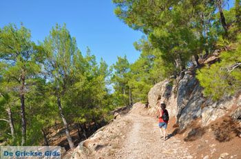 Bij watervallen Pesas | Lesbos Griekenland 10 - Foto van https://www.grieksegids.nl/fotos/lesbos/normaal/lesbos-griekenland-225.jpg