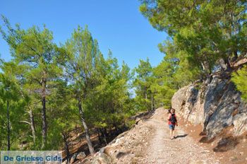 Bij watervallen Pesas | Lesbos Griekenland 11 - Foto van https://www.grieksegids.nl/fotos/lesbos/normaal/lesbos-griekenland-226.jpg