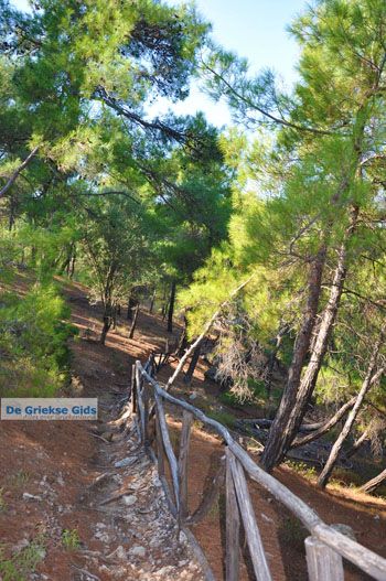 Bij watervallen Pesas | Lesbos Griekenland 12 - Foto van https://www.grieksegids.nl/fotos/lesbos/normaal/lesbos-griekenland-227.jpg