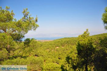 Bij watervallen Pesas | Lesbos Griekenland 15 - Foto van https://www.grieksegids.nl/fotos/lesbos/normaal/lesbos-griekenland-230.jpg