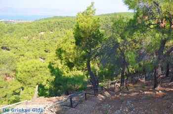 Bij watervallen Pesas | Lesbos Griekenland 20 - Foto van https://www.grieksegids.nl/fotos/lesbos/normaal/lesbos-griekenland-235.jpg