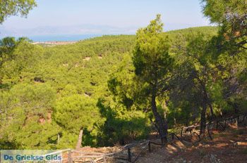 Bij watervallen Pesas | Lesbos Griekenland 21 - Foto van https://www.grieksegids.nl/fotos/lesbos/normaal/lesbos-griekenland-236.jpg