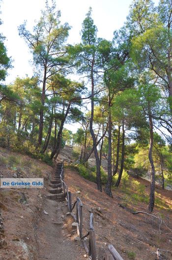 Bij watervallen Pesas | Lesbos Griekenland 22 - Foto van https://www.grieksegids.nl/fotos/lesbos/normaal/lesbos-griekenland-237.jpg