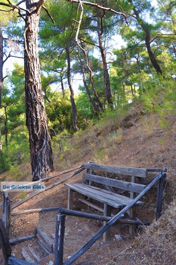 Bij watervallen Pesas | Lesbos Griekenland 23 - Foto van https://www.grieksegids.nl/fotos/lesbos/normaal/lesbos-griekenland-238.jpg