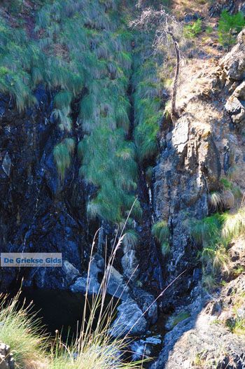 Bij watervallen Pesas | Lesbos Griekenland 31 - Foto van https://www.grieksegids.nl/fotos/lesbos/normaal/lesbos-griekenland-246.jpg