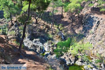 Bij watervallen Pesas | Lesbos Griekenland 32 - Foto van https://www.grieksegids.nl/fotos/lesbos/normaal/lesbos-griekenland-247.jpg