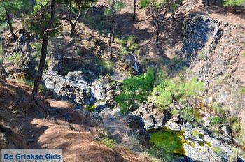 Bij watervallen Pesas | Lesbos Griekenland 33 - Foto van https://www.grieksegids.nl/fotos/lesbos/normaal/lesbos-griekenland-248.jpg