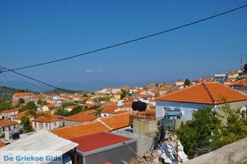 Vassilika Lesbos | Griekenland 1 - Foto van https://www.grieksegids.nl/fotos/lesbos/normaal/lesbos-griekenland-249.jpg
